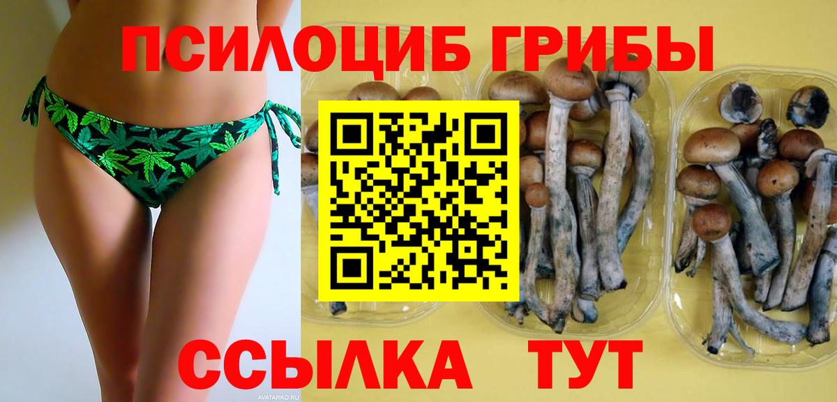 купить   Псилоцибиновые грибы Cubensis  Вход с VPN  Галлюциногенные грибы Psilocybe  Касимов 