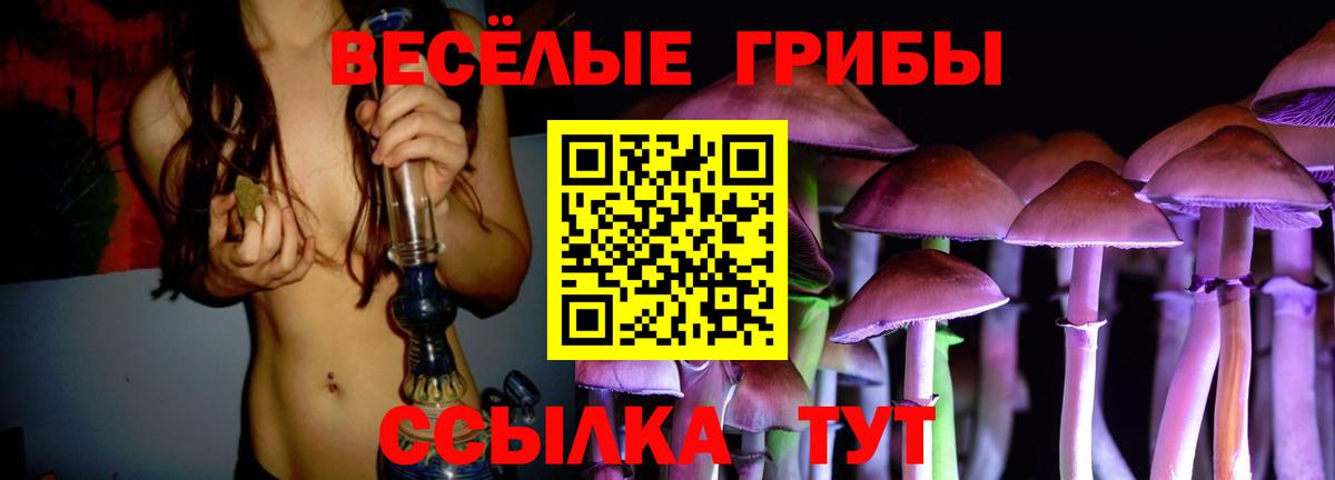 Псилоцибиновые грибы прущие грибы Касимов